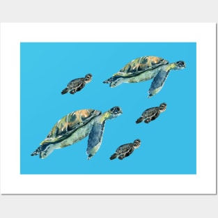 Sea turtle family Posters and Art